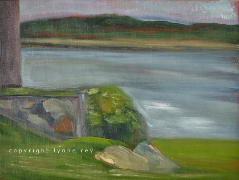 guillemots in winter_house edge copy